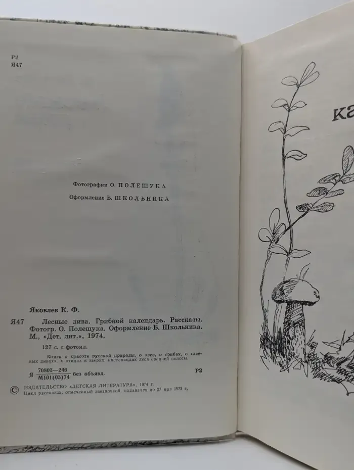 Лесные дива