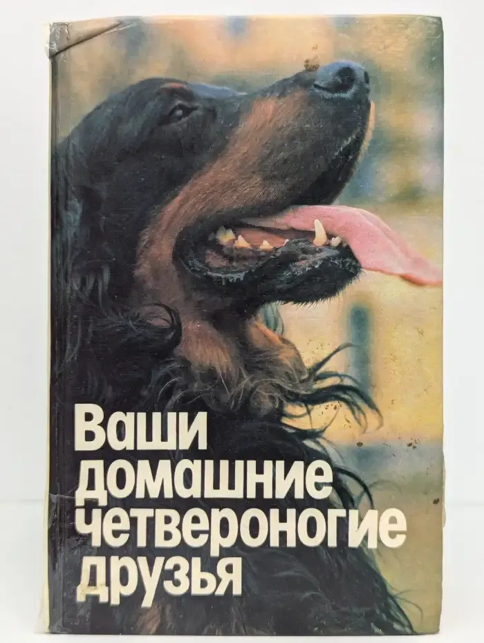 Ваши домашние четвероногие друзья