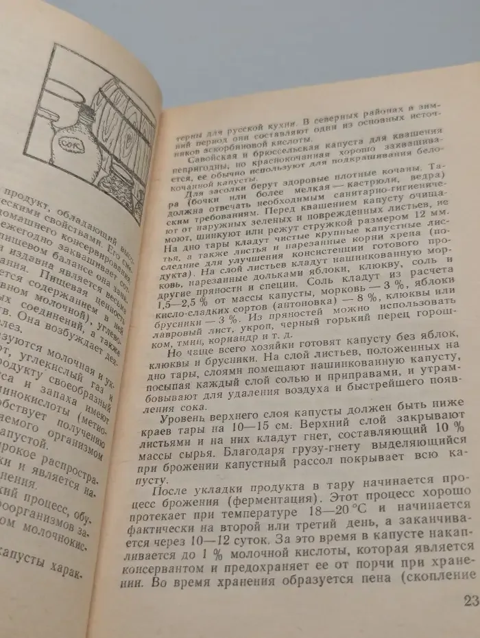 Капустные овощи и блюда из них