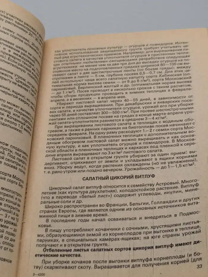 Витамины с грядки