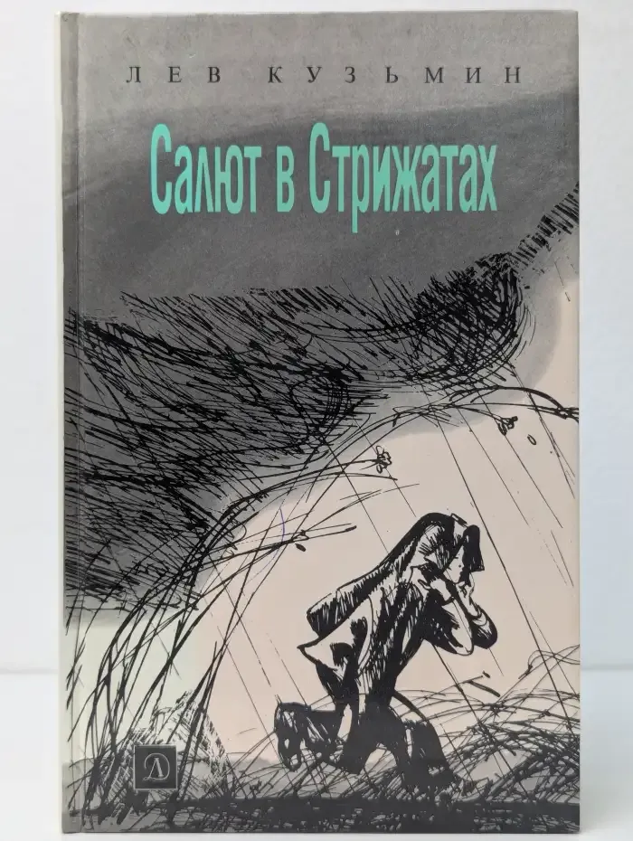 Салют в Стрижах