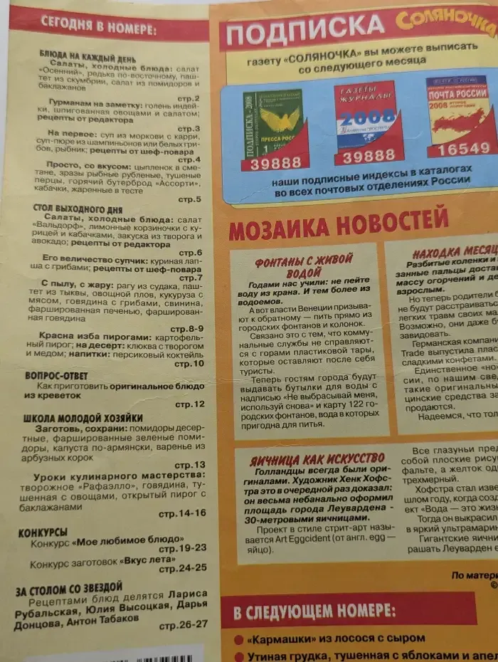 Соляночка. Выпуск №19, сентябрь 2008