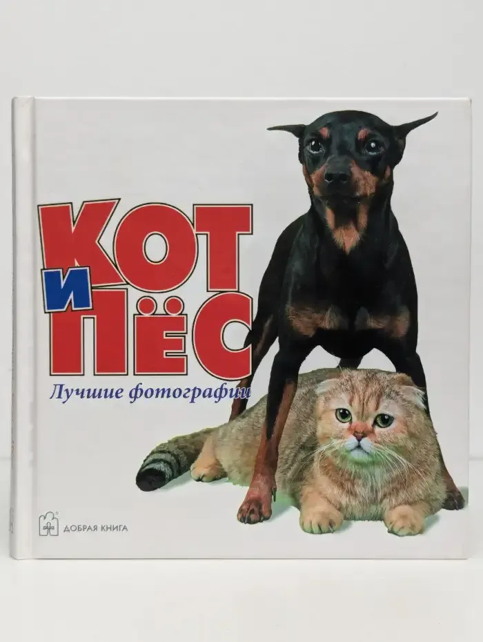 Кот и пёс. Лучшие фотографии