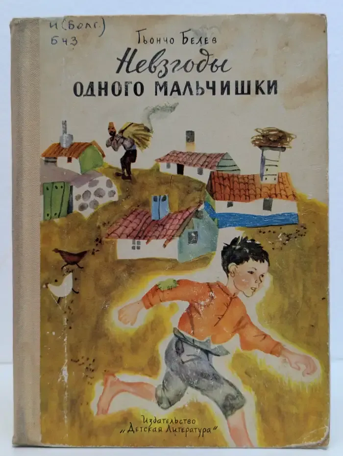 Невзгоды одного мальчишки