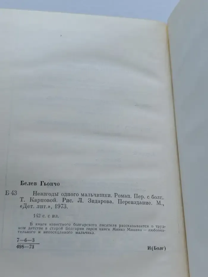 Невзгоды одного мальчишки