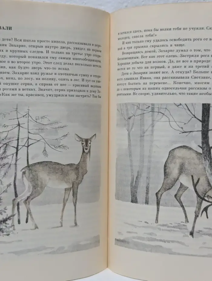 Лесной хозяин