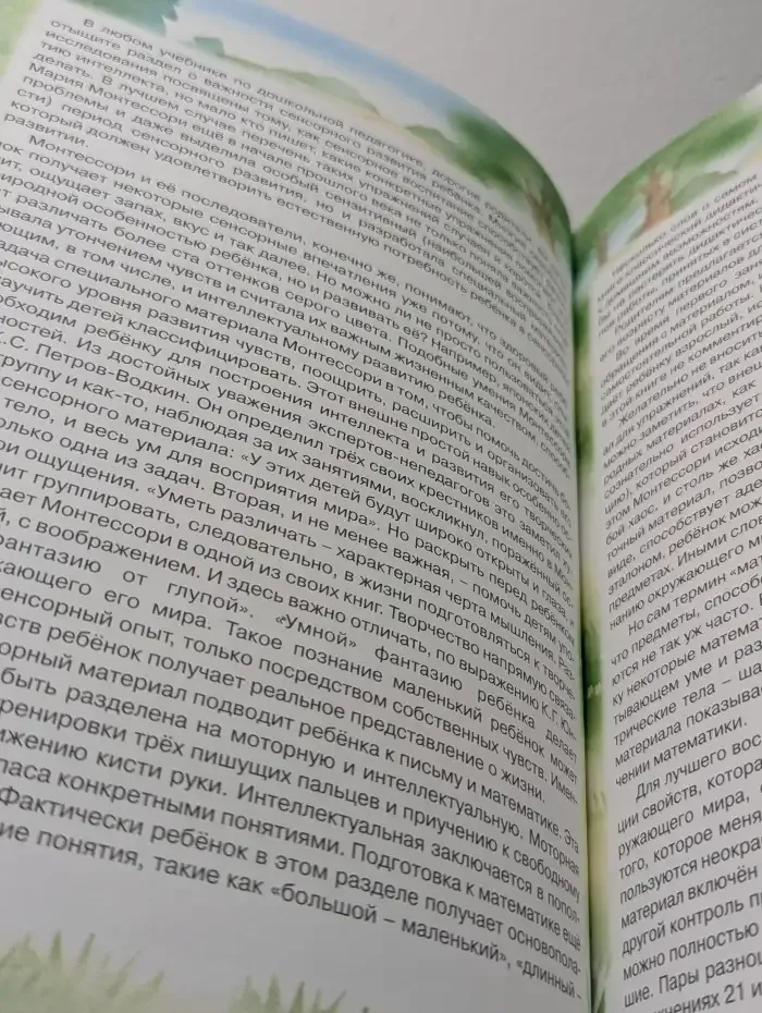 Домашняя школа Монтессори. Сенсорное развитие. 2-4 года