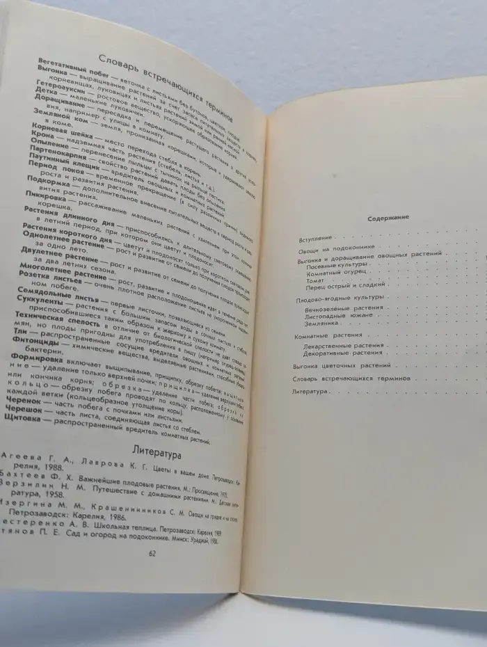 Огород и сад на подоконнике