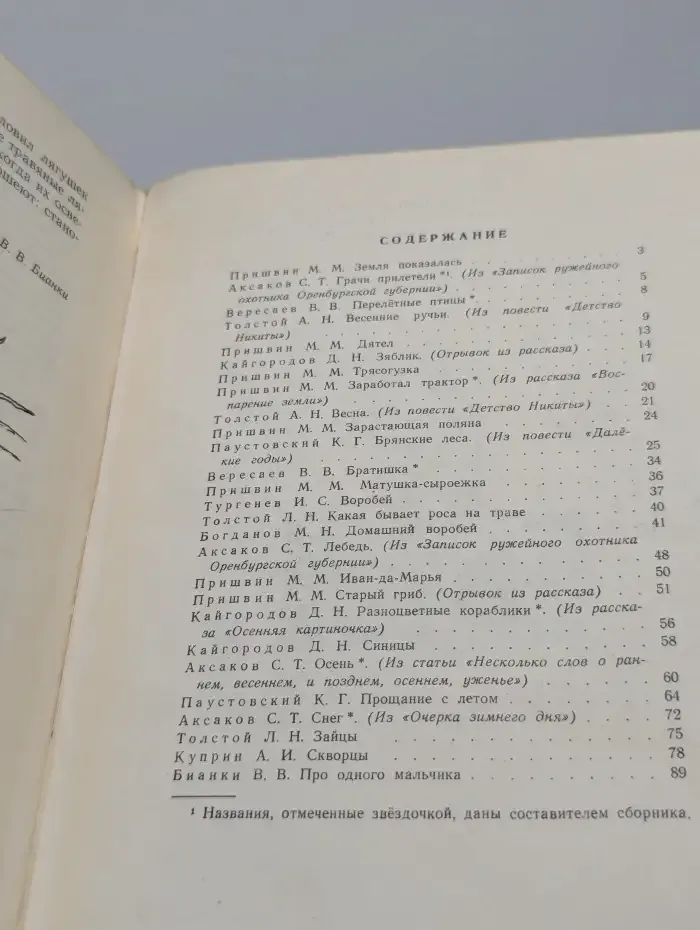 В берёзовой роще