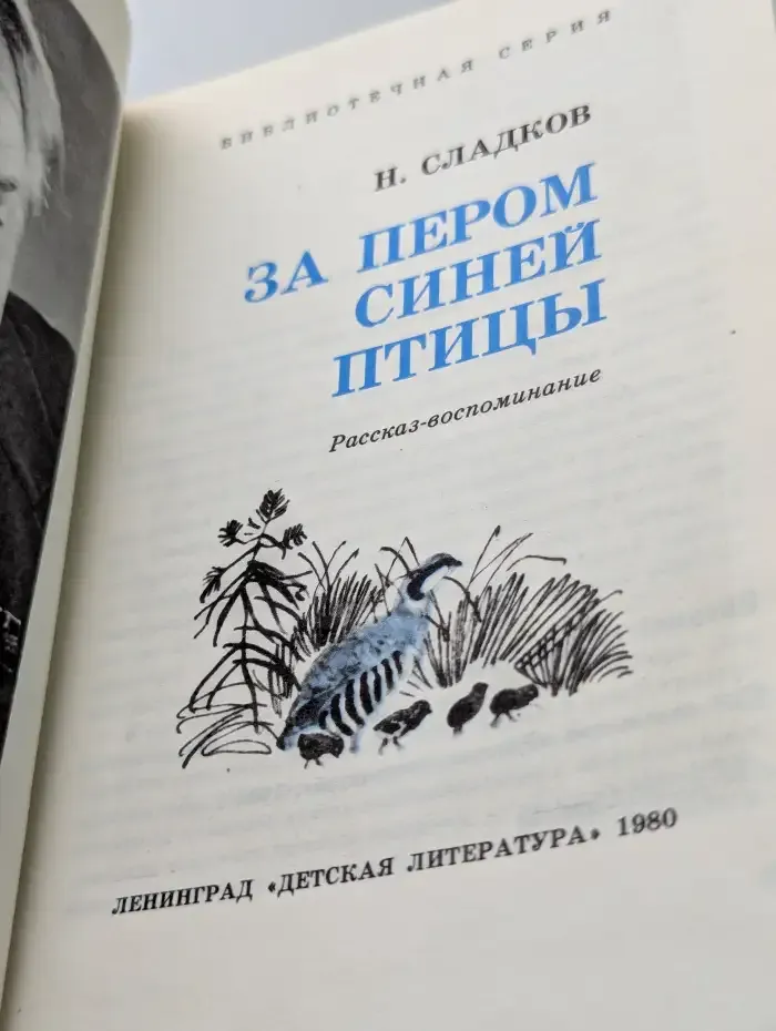 За пером синей птицы