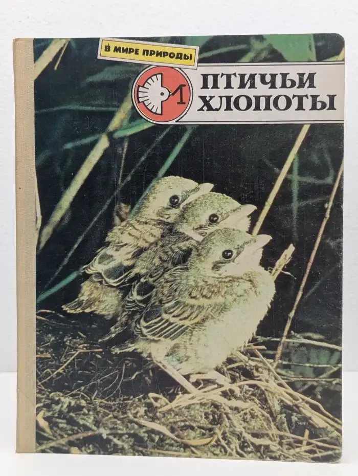 Птичьи хлопоты