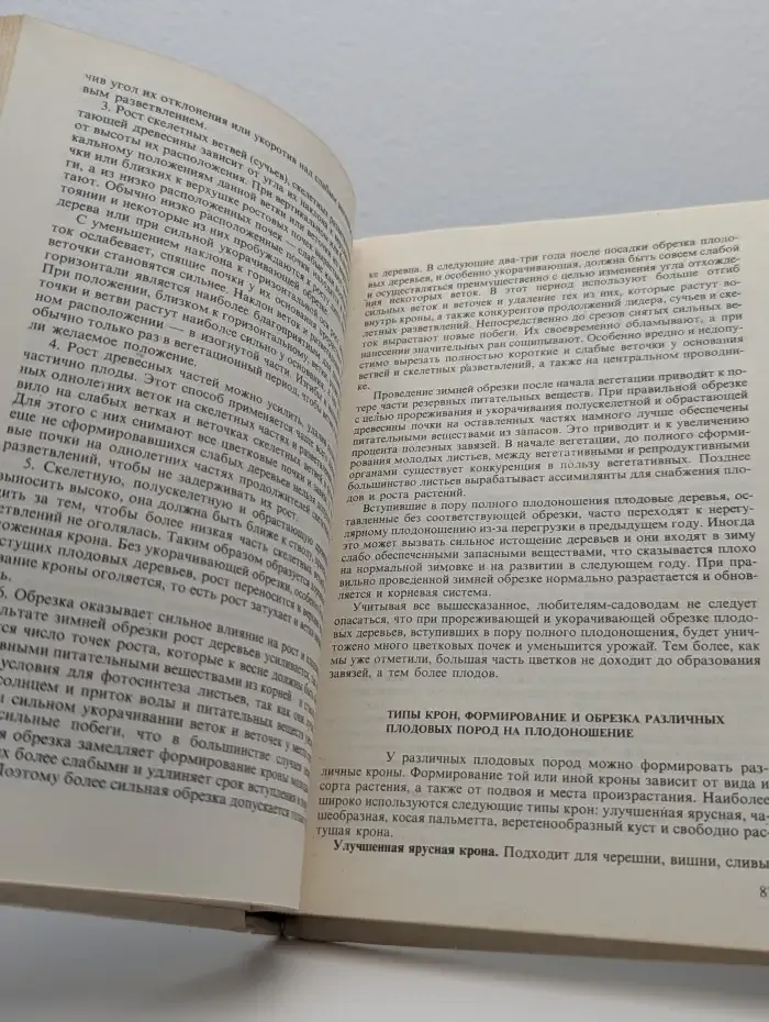 Приусадебный сад