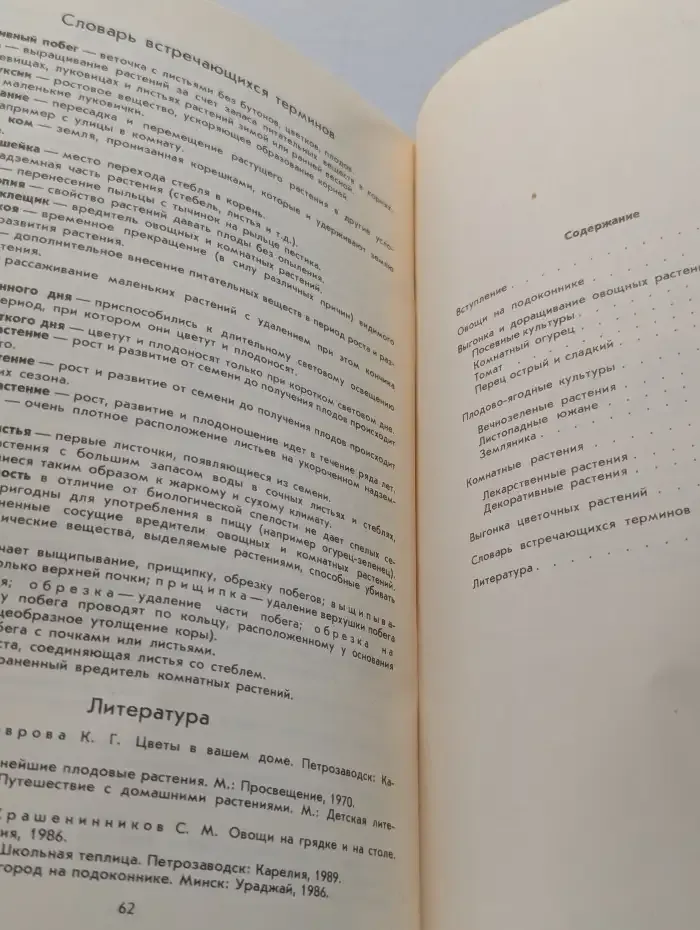 Огород и сад на подоконнике