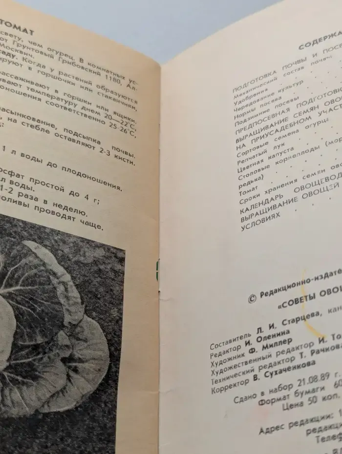 Советы овощеводам-любителям