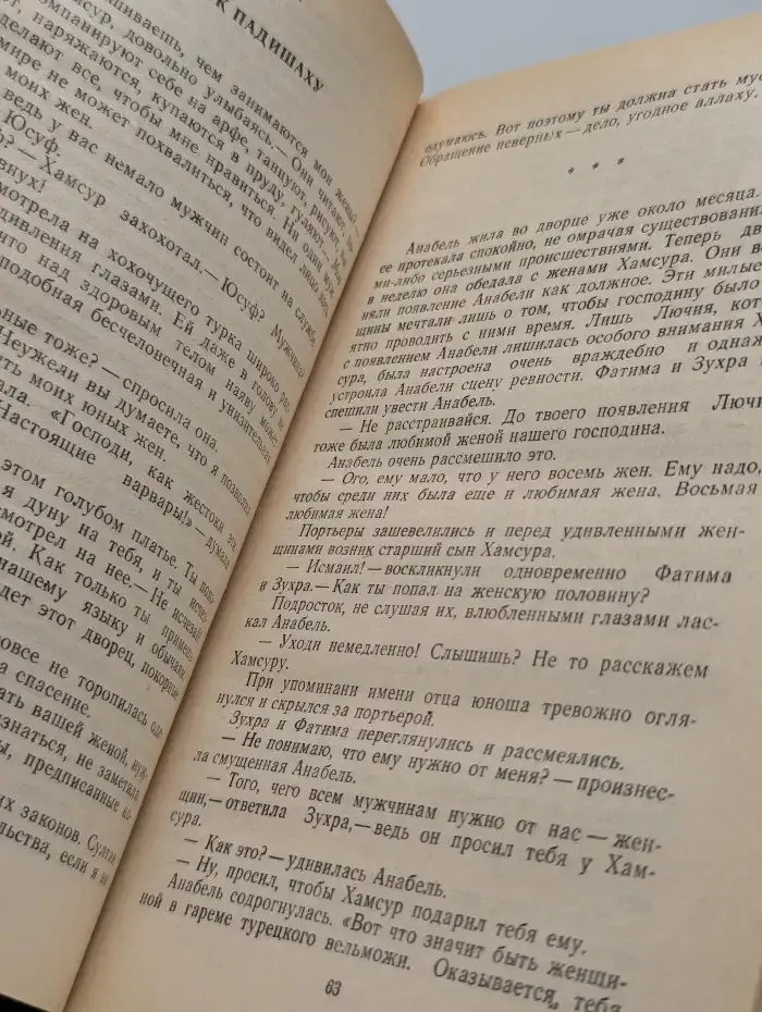 Прекрасная француженка или История любви Анабель де Круазье