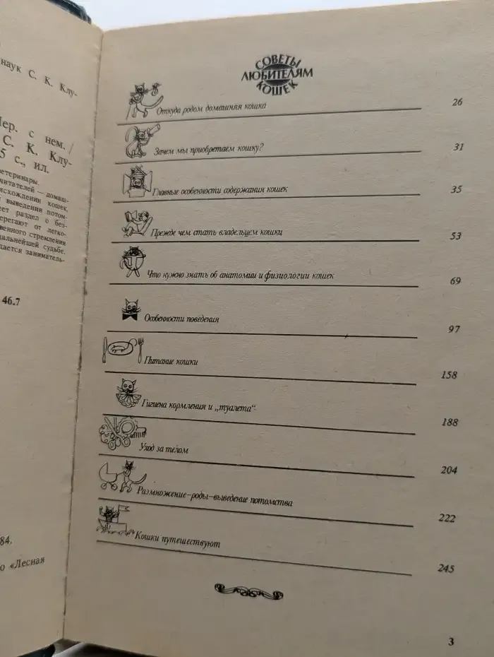 Советы любителям кошек