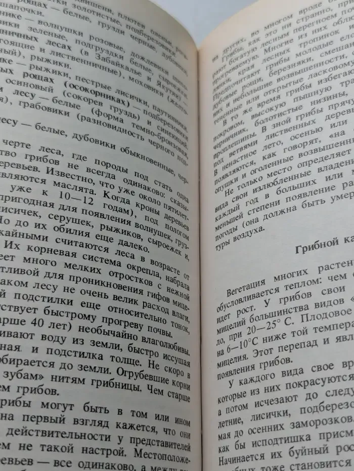 Секреты заядлого грибника