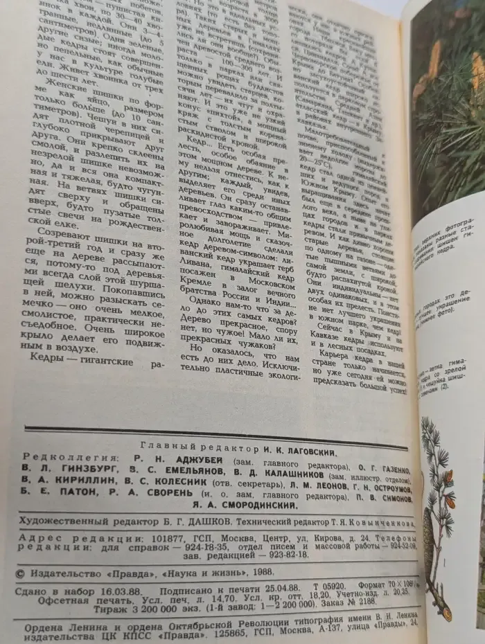 Журнал "Наука и жизнь". Выпуск № 6 / 1988