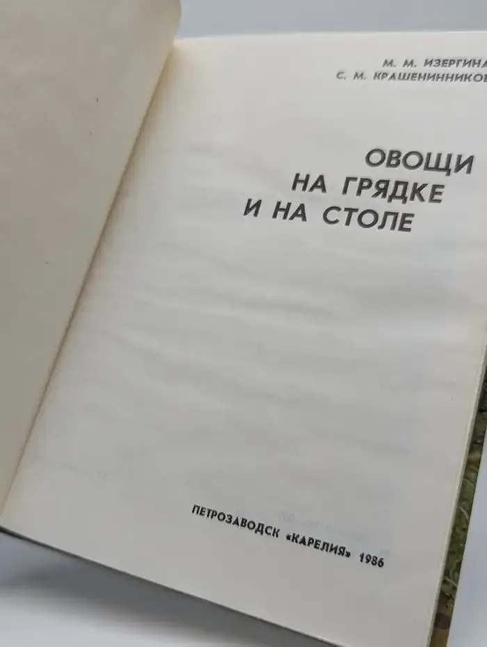 Овощи на грядке и на столе