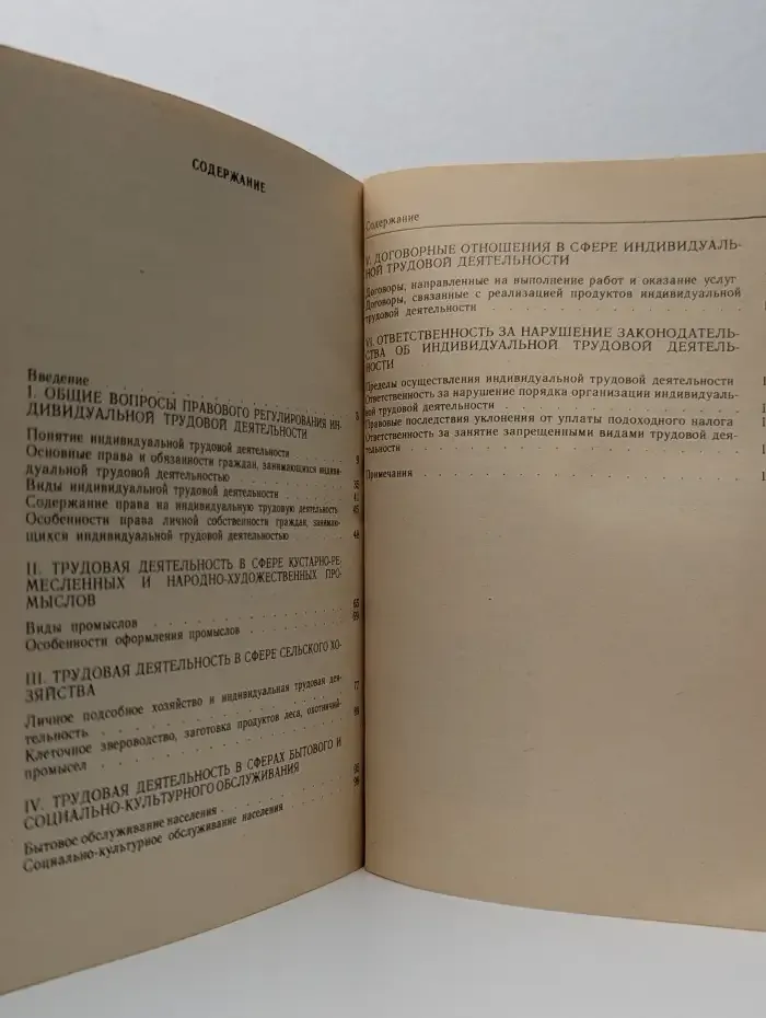 Индивидуальная трудовая деятельность и закон