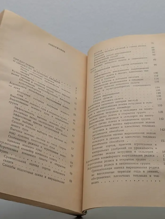 Конвейер зеленных овощей