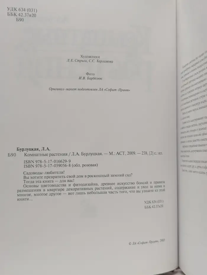 Комнатные растения