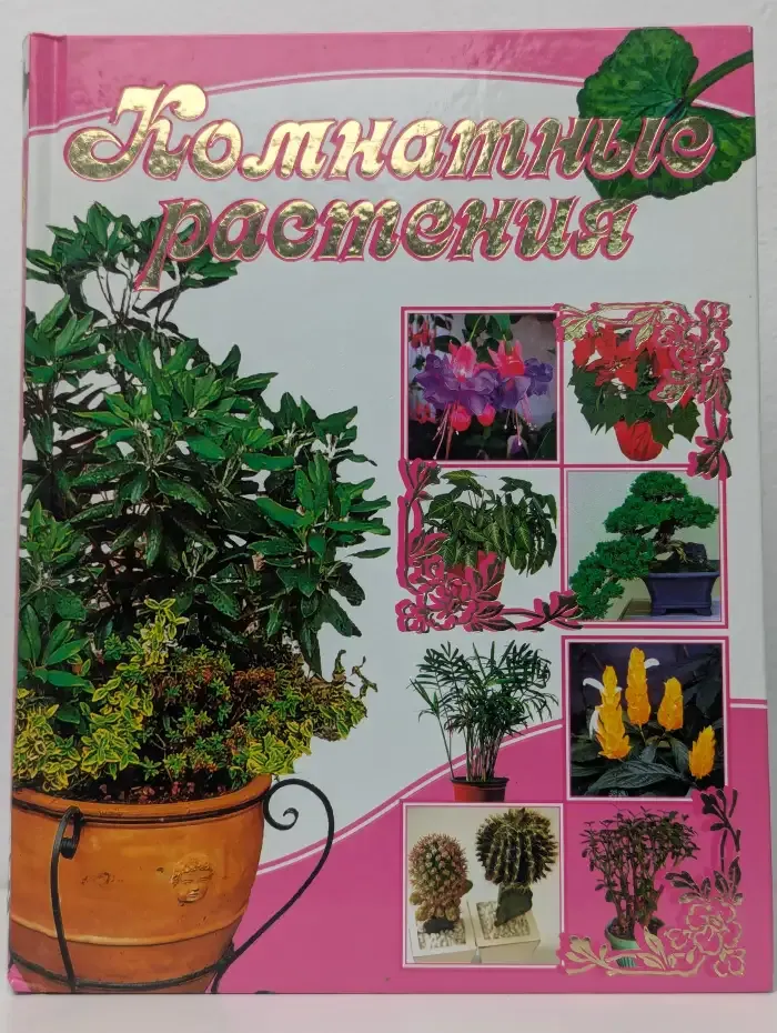 Комнатные растения
