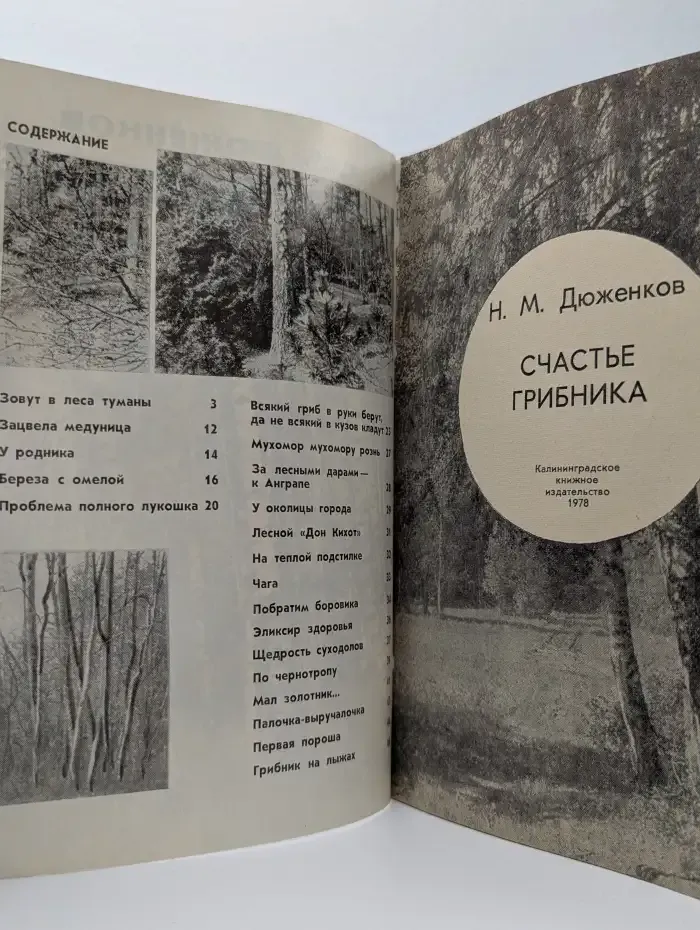 Счастье грибника