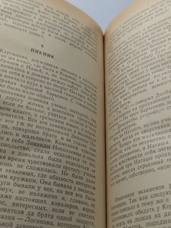 Детство Темы. Гимназисты