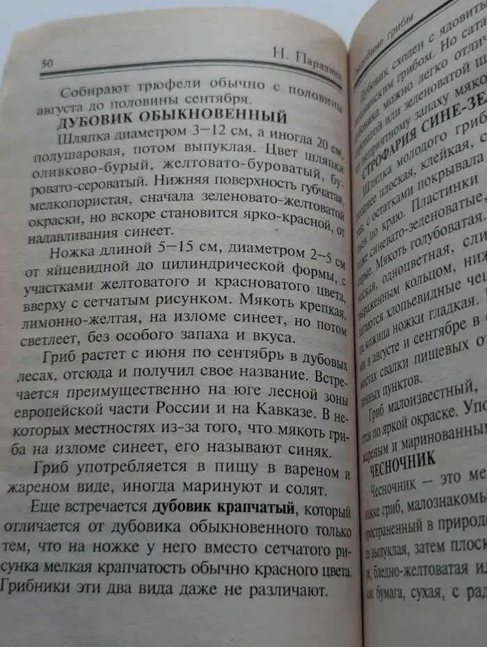 Соление грибов. Заготавливаем грибы впрок
