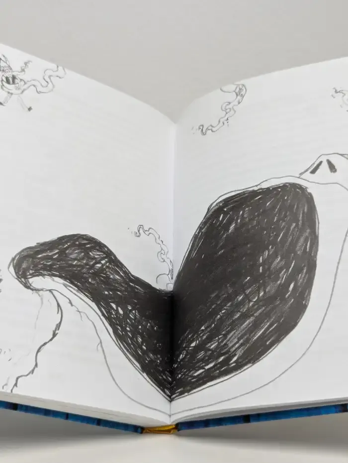 Как приручить дракона. Книга 2. Как стать пиратом