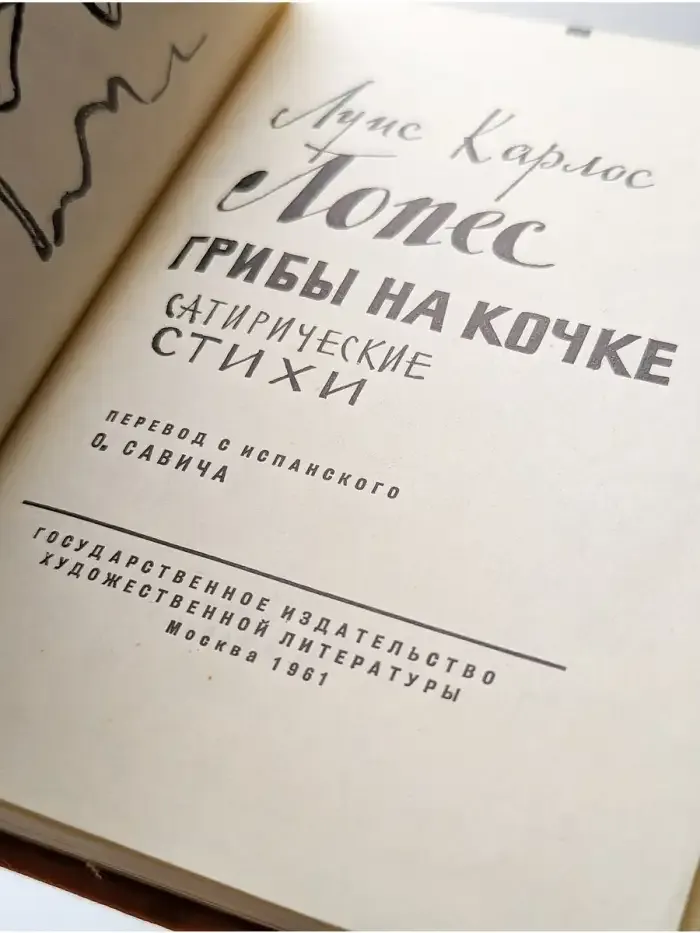 Грибы на кочке
