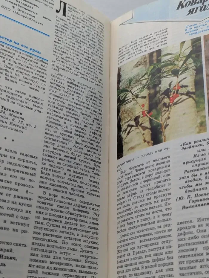 Приусадебное хозяйство. Выпуск №6, 1988