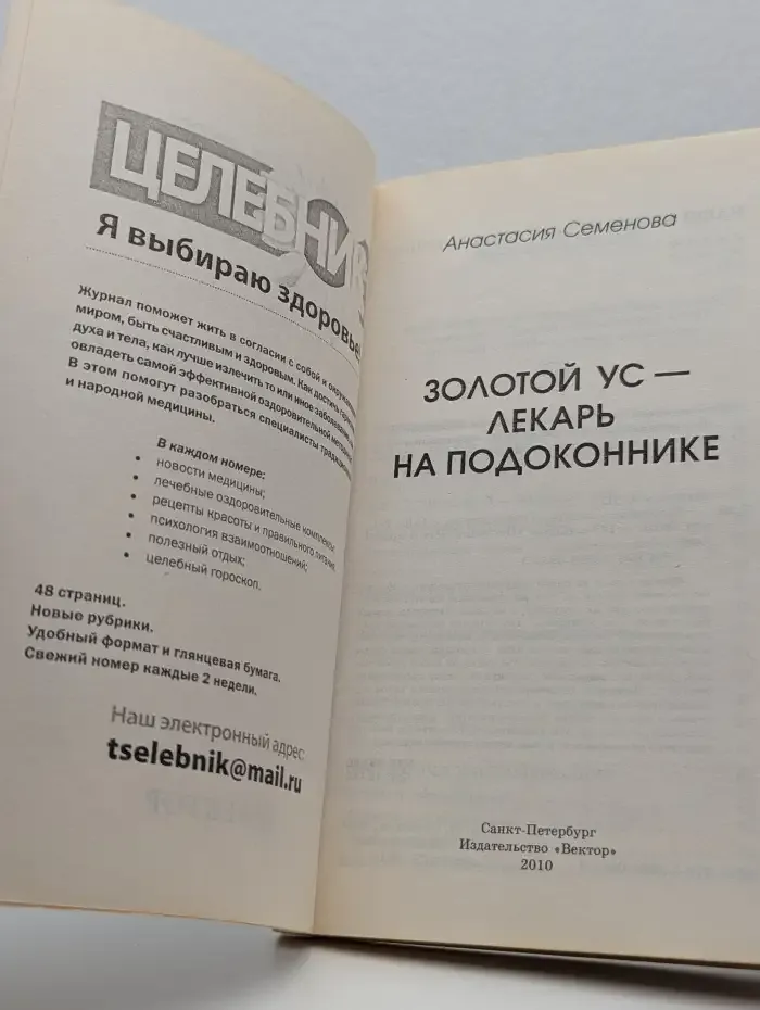 Золотой ус — лекарь на подоконнике