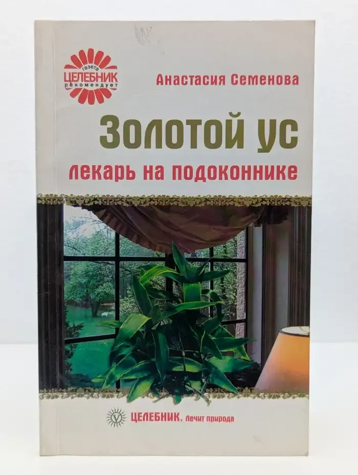 Золотой ус — лекарь на подоконнике