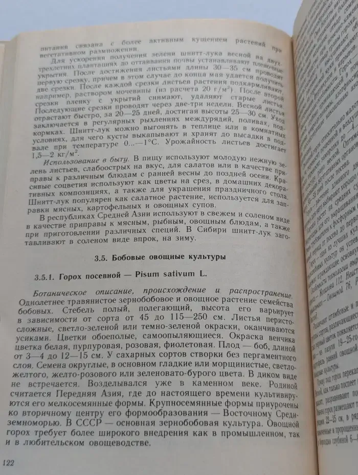 Целебные овощные растения