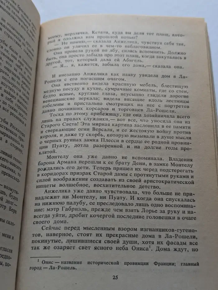 Любовь Анжелики. Роман 1