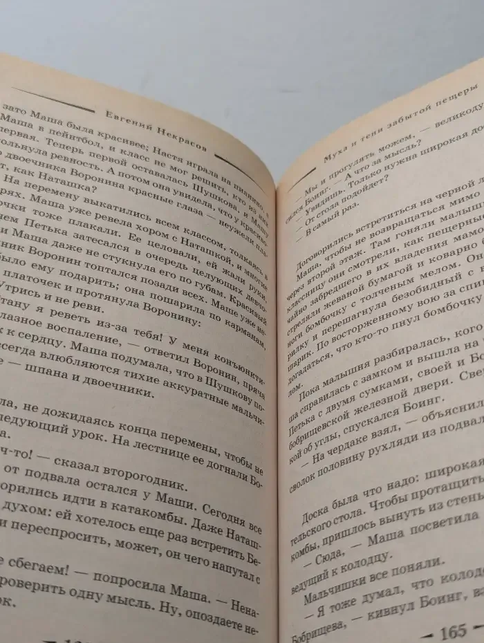 Муха и тени забытой пещеры