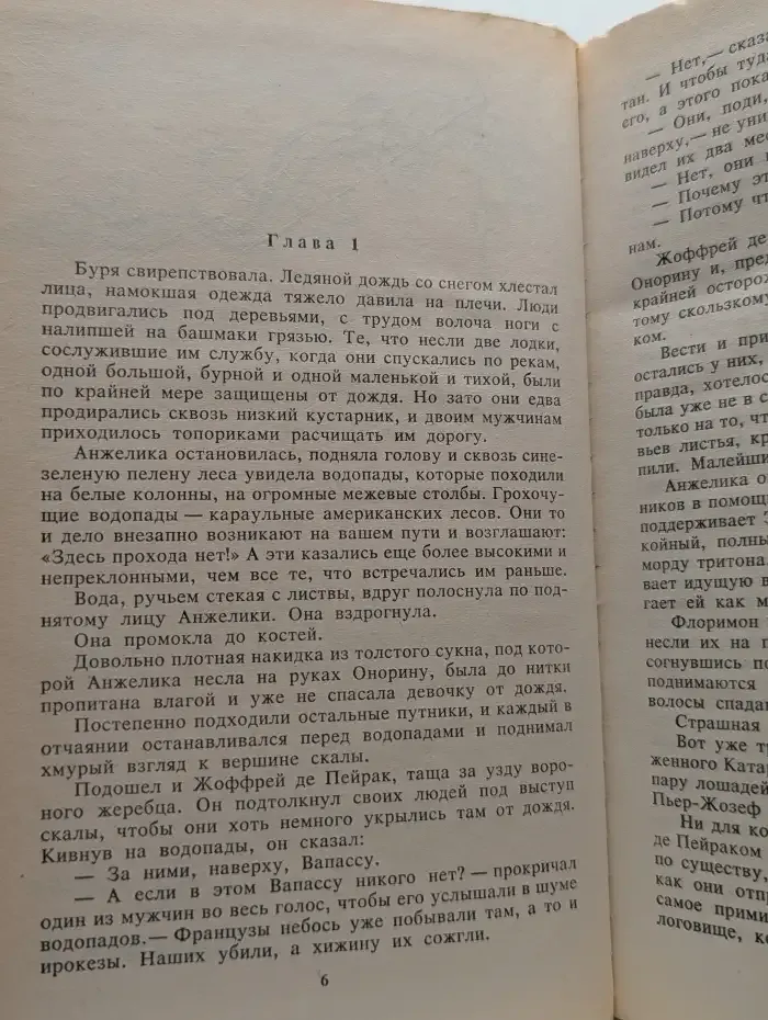 Анжелика в Новом свете. Книга 2