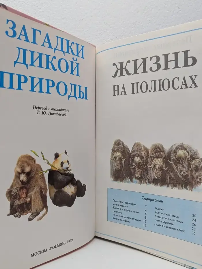 Загадки дикой природы