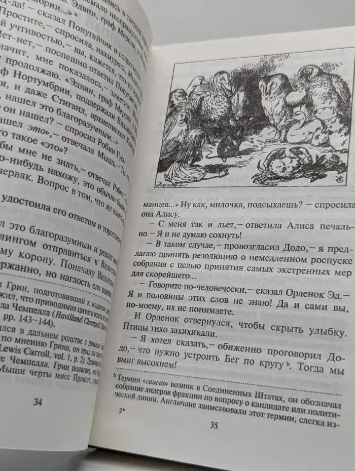 Приключения Алисы в Стране Чудес. Сквозь зеркало и что там увидела Алиса или Алиса в Зазеркалье