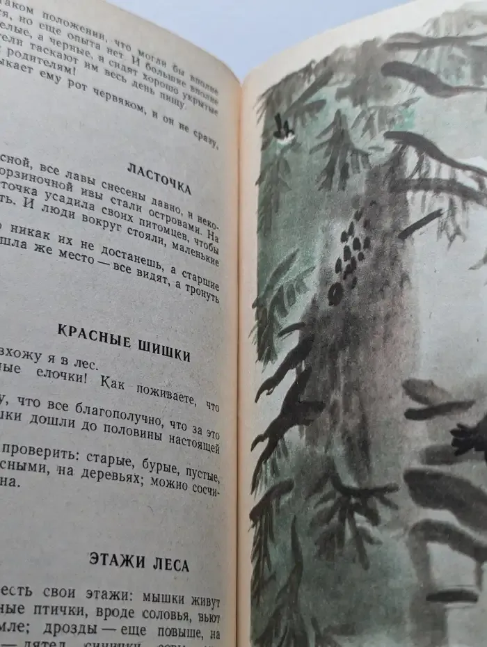 Золотой луг