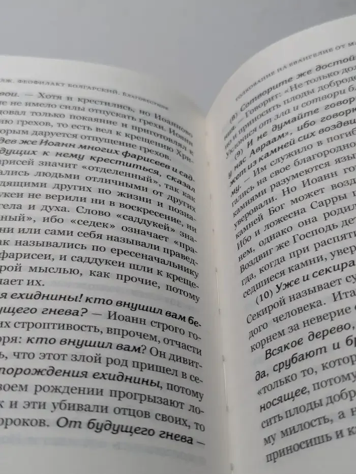 Благовестник. Том 1. Толкование на Евангелие от Матфея