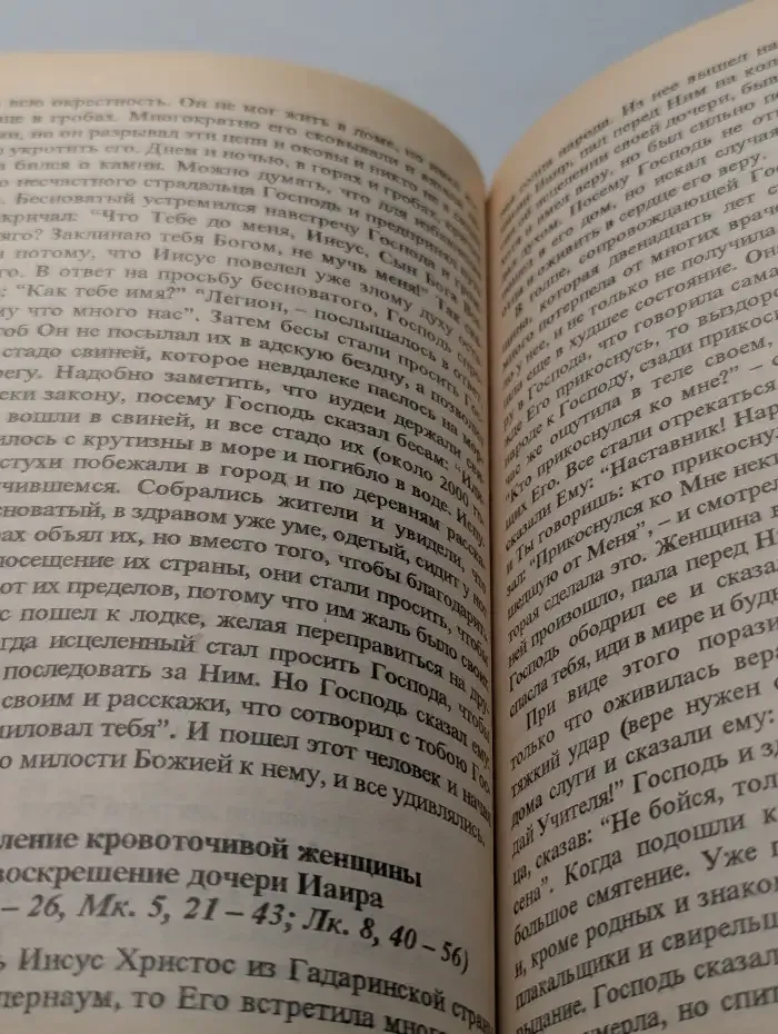 Священная история Нового Завета в церковном богослужении
