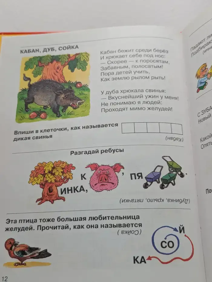 Наш лес