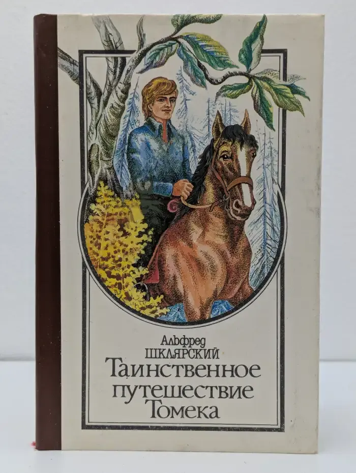Таинственное путешествие Томека