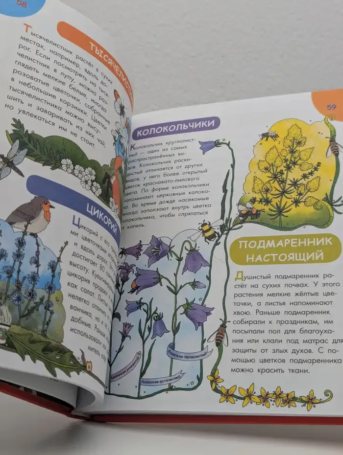 Первая энциклопедия почемучки