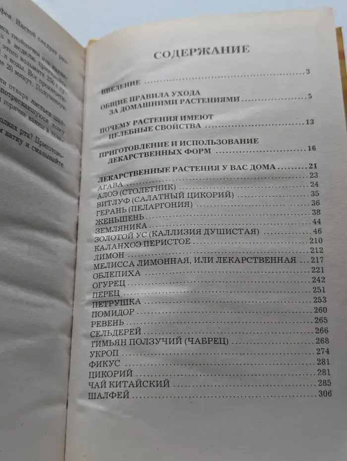 Самые популярные комнатные лекарственные растения