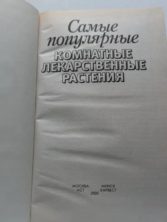 Самые популярные комнатные лекарственные растения