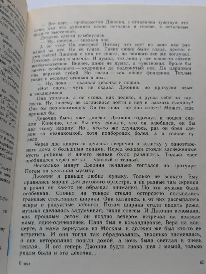 Мушкетёр и фея и другие истории из жизни Джонни Воробьёва